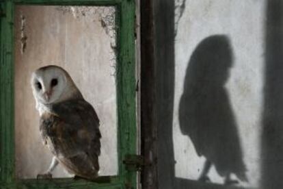 'Sombras en la noche', una de las ganadoras del concurso FOTOFIO.