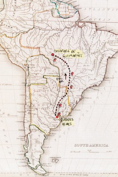 Hacer un viaje de 2.700 kilómetros con un elefante nunca es fácil. En plena pandemia, con las fronteras argentinas cerradas, lo es aún más.