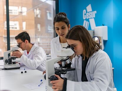 Los cursos, que se impartirán en los distintos centros de toda España, abordan diferentes ámbitos, desde los cultivos celulares en laboratorio hasta los videojuegos o la alimentación.
