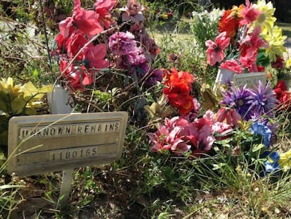 Algunas flores recuerdan a los muertos que no han sido identificados.