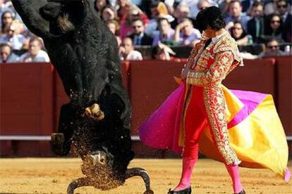 Miguel Abellán observa la voltereta que dio su primer toro.