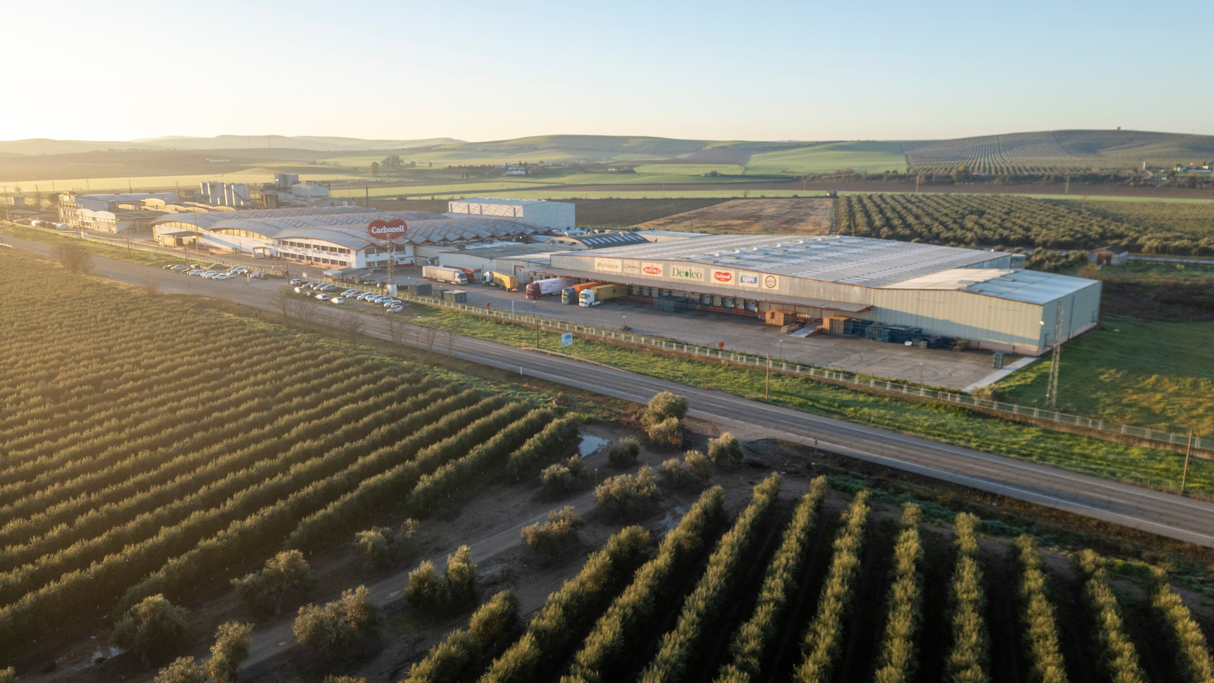 Deoleo mejora ventas y resultados en 2025 por el aumento del consumo y pese a la guerra arancelaria