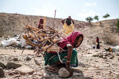Una joven carga leña en la región norte de Etiopía, sumida en un cruento conflicto. La imagen forma parte de la serie finalista del Premio Luis Valtueña de Fotografía Humanitaria de Médicos del Mundo.