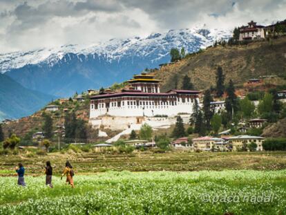 Un país religioso donde no se enseña religión y otras curiosidades de Bután