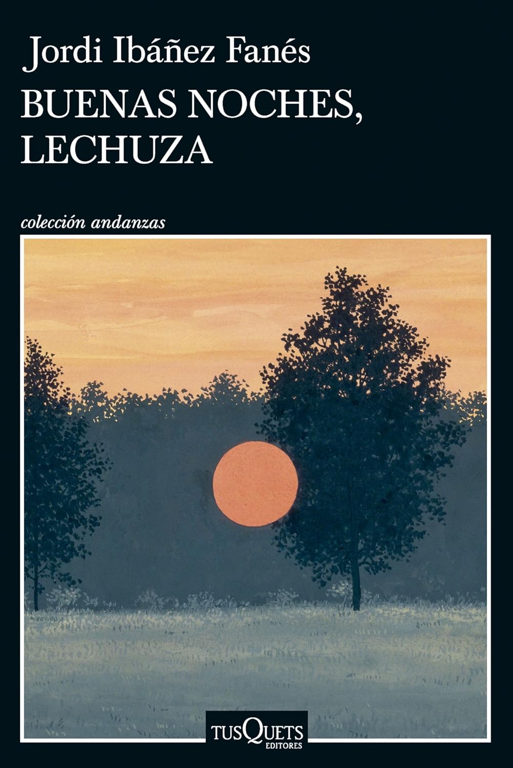 Portada de ‘Buenas noches, lechuza’, de Jordi Ibáñez Fanés.