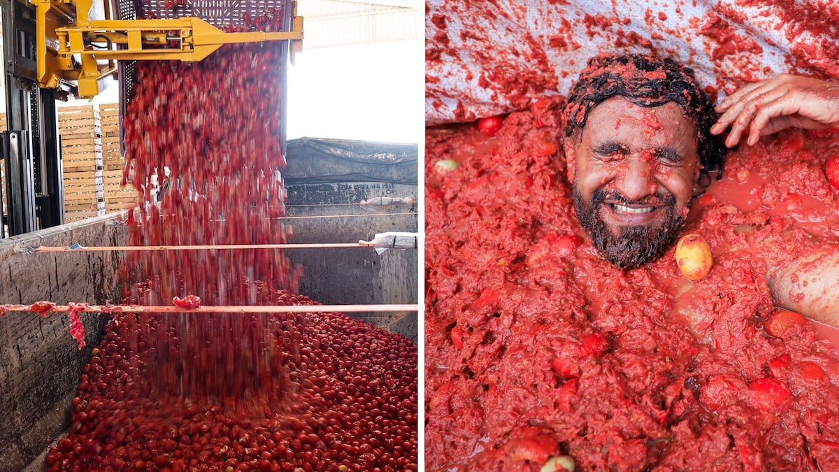 Vídeo en directo | Buñol celebra la Tomatina 2026 con el lanzamiento de más de 150 toneladas de tomates
