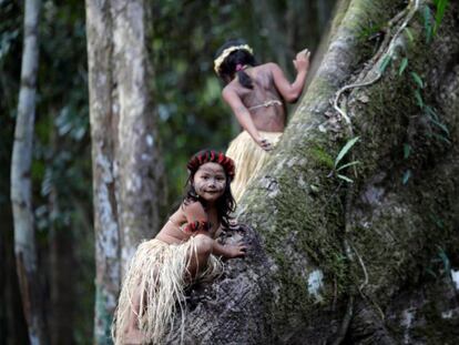 Dos niñas escalan un árbol de Sumauma en Feijó (Brasil). 