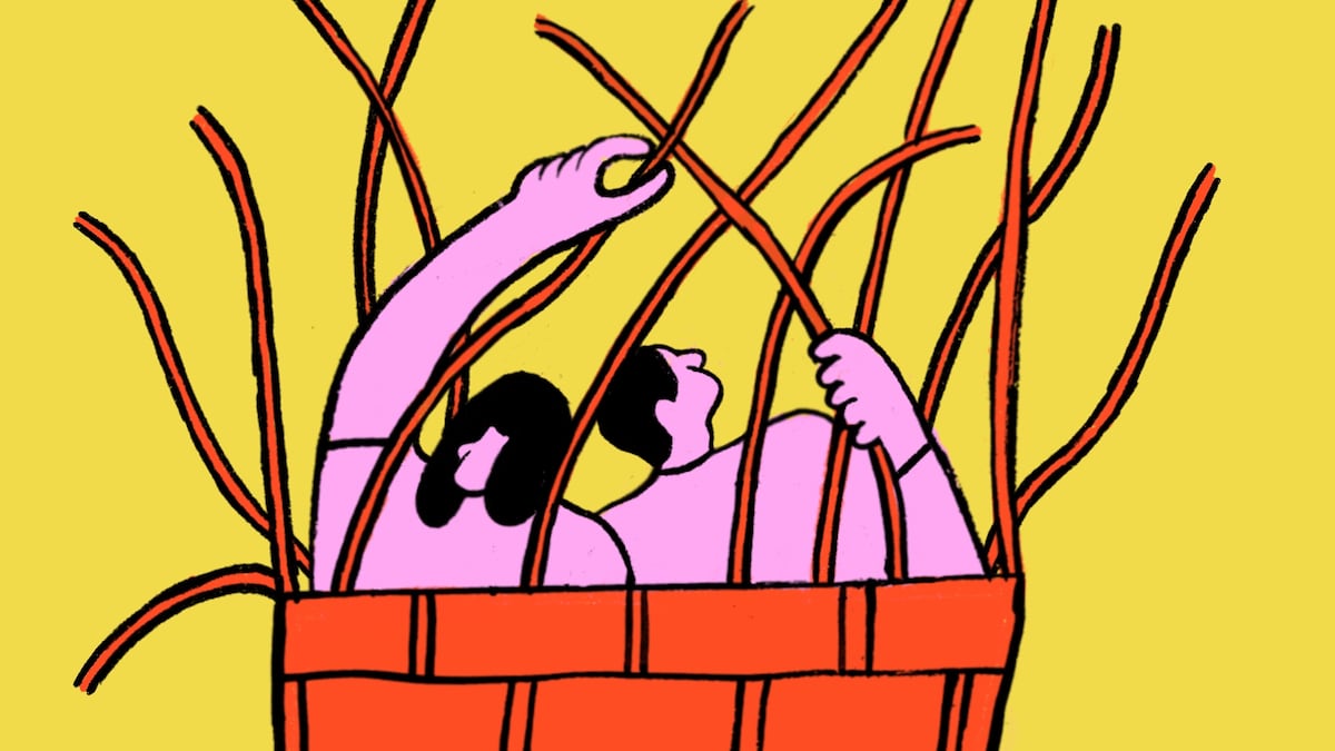 El cesto y la furia: cada verano tiene su amor