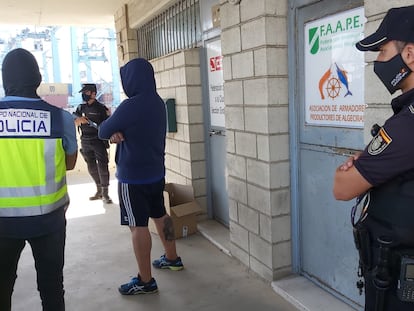 Los policías registraron la sede en el Puerto de Algeciras de la Federación de Entidades Pesqueras que presidía Pedro Maza, detenido y padre del armador ya en prisión.