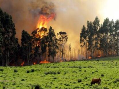 Las labores de extinción se concentran en 15 fuegos