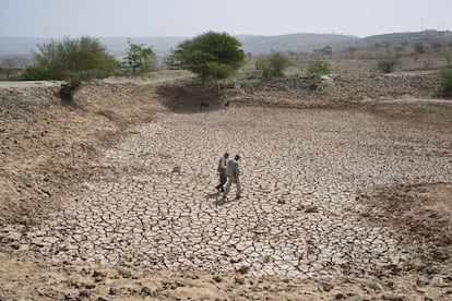 Pequeño estanque en la localidad de Garadaoua fnanciado por el programa de 'cash for work' de Acción Contra el Hambre. Recoge el agua de lluvia que cae durante la estación húmeda, entre junio y septiembre, y la conserva dos meses más. En la obra participaron 93 cabezas de familia.