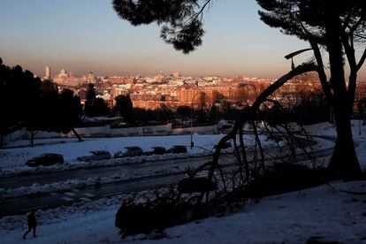 Una rama caída tras el paso de la fuerte nevada del temporal Filomena, en el Parque de San Isidro de Madrid.