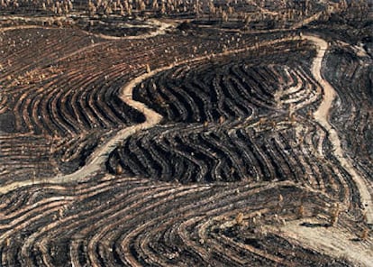 Vista aérea de una zona afectada por el incendio iniciado en Minas de Riotinto el pasado 27 de julio.