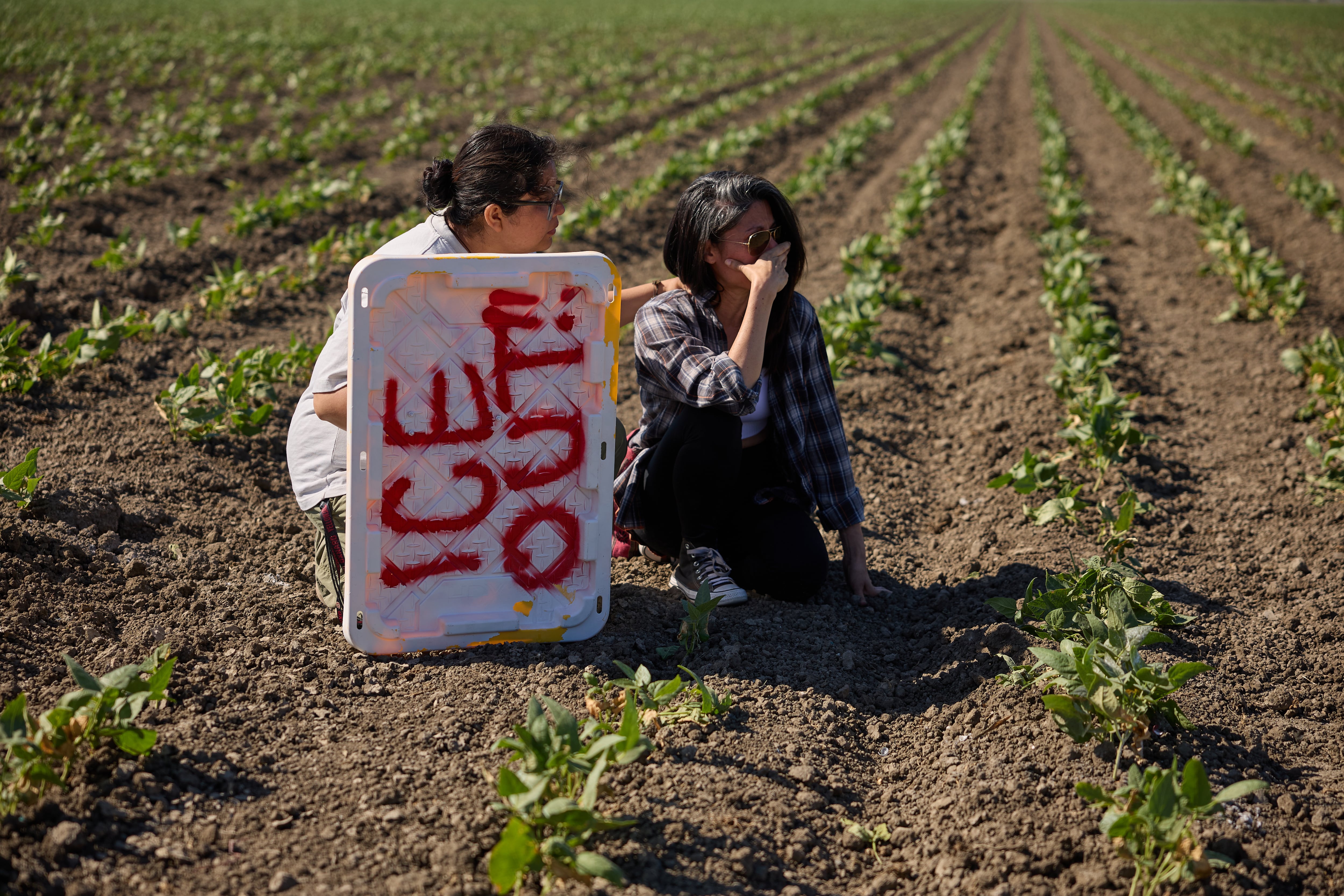 Dos redadas contra inmigrantes en sendas granjas de cannabis en California acaban con cinco hospitalizados, uno crítico