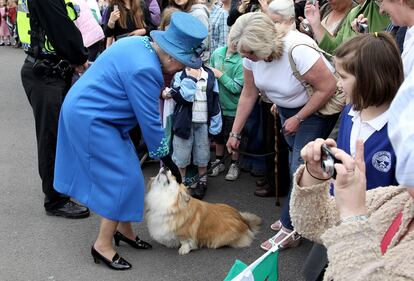 Isabel II acaricia a un corgi en Welshpool, Gales, en una visita realizada en abril de 2010.