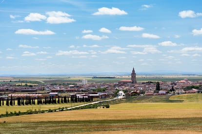 Panorámica de Nava del Rey y de los campos castellanos que la rodean desde el cerro de la ermita.