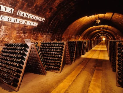 Bodegas de cava de la marca Codorniú en el Penedés (Barcelona).