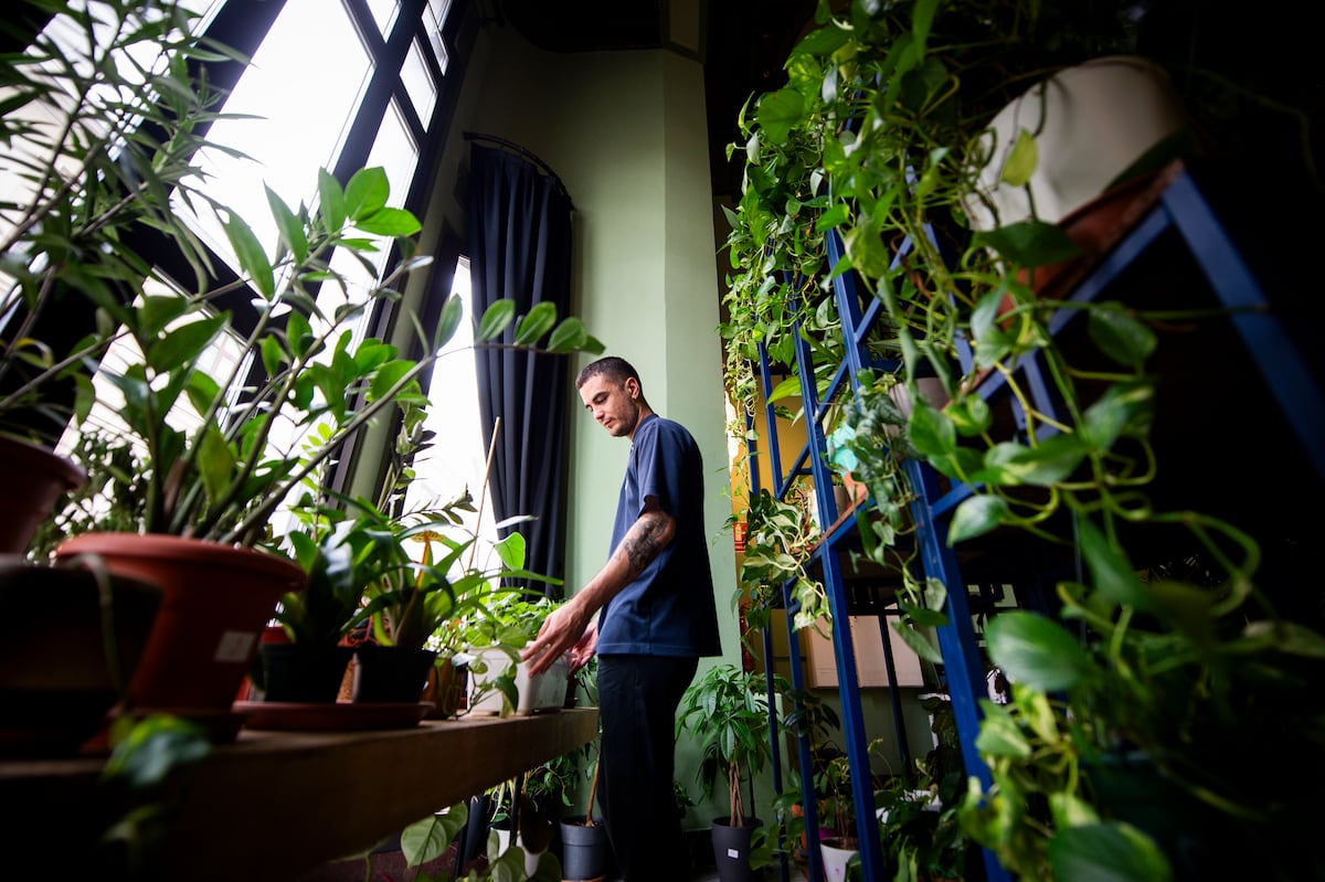 Las guarderías para plantas no dan abasto en vacaciones: “Les hablamos, si hace falta”
