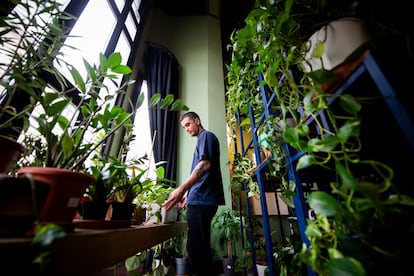 Pepe Tesoro, responsable de la guardería de plantas del Círculo de Bellas Artes de Madrid, este lunes.