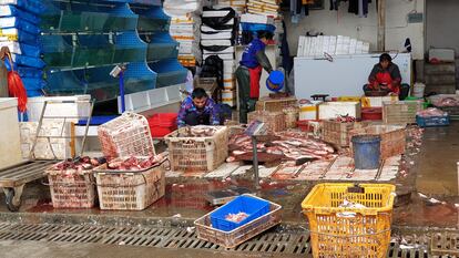 27-11-20.- Mercado de abastos de Wuhan. Foto: Macarena Vidal