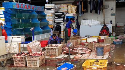 27-11-20.- Mercado de abastos de Wuhan. Foto: Macarena Vidal