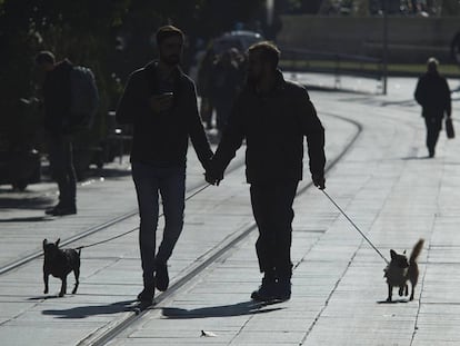 Dos personas pasean con sus perros