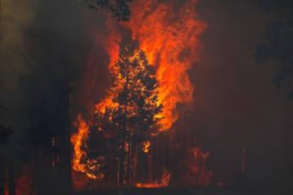 Incendio en California, en agosto pasado.