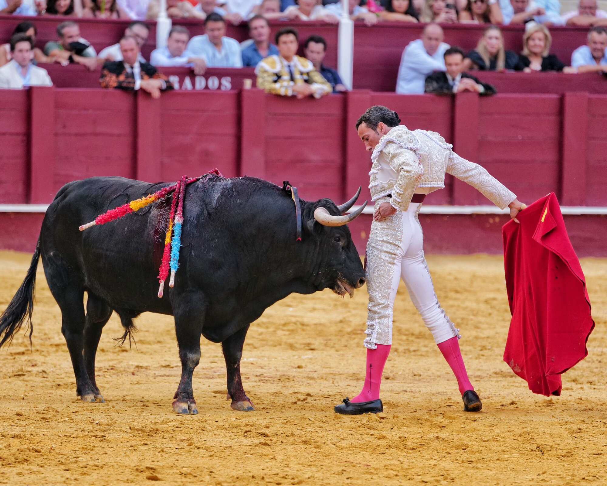 David de Miranda, la tarde de su resonante triunfo en pasada la Feria de Málaga.