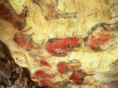 Bisontes policromados de arte rupestre en las cuevas de Altamira (Cantabria).
