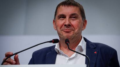 Arnaldo Otegi, dirigente de EHBildu