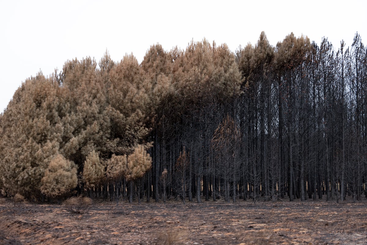 No, la Agenda 2030 no prende fuego al monte