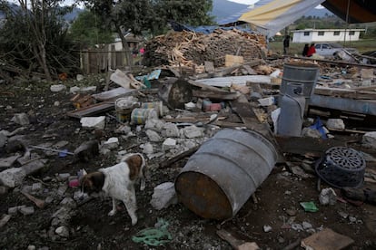 Este tipo de accidente son comunes en varias localidades de México y las autoridades han fracasado en establecer una regulación que prevenga más tragedias. En la foto, un perro entre los escombros.