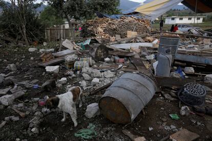 Este tipo de accidente son comunes en varias localidades de México y las autoridades han fracasado en establecer una regulación que prevenga más tragedias. En la foto, un perro entre los escombros.