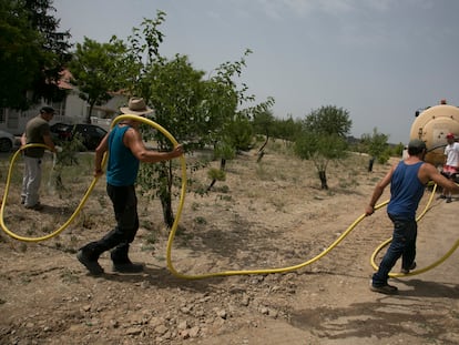 José Antonio Esteban, Luis Velasco, David de la Calle, Álvaro Cuesta, Fran Valderrama y Juan Esteso forman un grupo para regar los 10.000 árboles plantados con una cuba de agua de 14.000 litros.