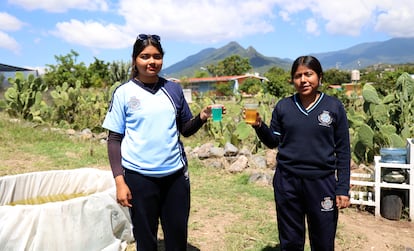 Shanni y Rosa muestran el agua entintada que colectan