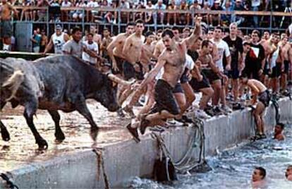 Varios jóvenes intentan evitar la embestida de un toro, ayer, en la fiesta de <b><i>bous a la mar</b></i> en Dénia.