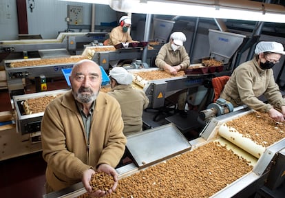 Francisco Morales posa en la fábrica de Zamoranos donde se tratan las almendras.