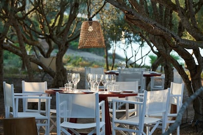 Alrededor hay vegetación, un jardín mediterráneo concebido por el paisajista Piet Oudolf, con un restaurante, Cantina, enmarcado en un paraje único, a la sombra de un bosque de olivos y con el mar Mediterráneo de fondo. Dirigido por el grupo bodeguero menorquín Binifadet, con experiencia en las cosas del comer, ya que tiene un restaurante con vistas a los viñedos, ofrece una carta sencilla que rinde homenaje a los productos locales de la isla.