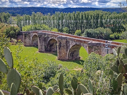Antiguo curso del puente de piedra del río Alagón.