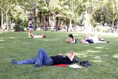 Un grupo de madrileños descansa en el césped de un parque, aprovechando la sombra de los árboles. El Ayuntamiento de Madrid aconseja no salir de casa durante las horas más calurosas del día, ingerir mucho líquido y no hacer deporte.