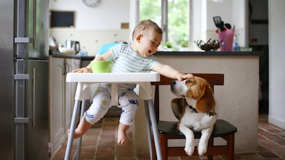 Se adaptan al crecimiento del niño y le permiten comer en una posición cómoda. GETTY IMAGES.