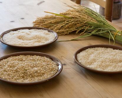 Illa de Buda cultiva arroz bomba y marisma.