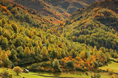 Rojos, ocres y amarillos intensos tiñen en otoño el parque natural de las Fuentes del Narcea, Degaña e Ibias, en Asturias.