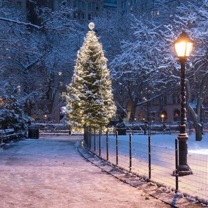 Un árbol de Navidad en Madison Square Park, Nueva York.