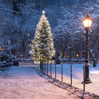 Un árbol de Navidad en Madison Square Park, Nueva York.