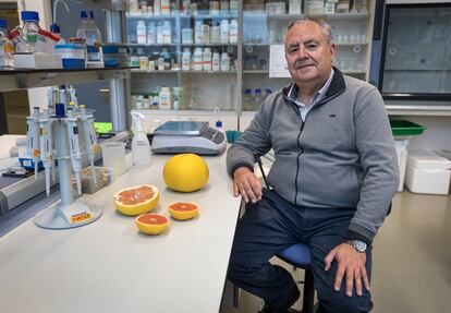 Manuel Talón in his laboratory at the Valencian Institute of Agricultural Research.