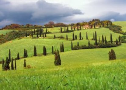 La campiña toscana.