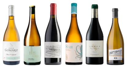 Seis vinos vanguardistas de Ribeiro