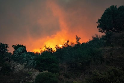 El incendio en Portbou (Girona) ya ha quemado más de 200 hectáreas.