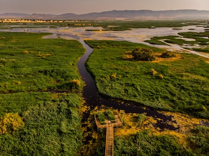 Vista aérea por la zona del embarcadero, en el Parque Nacional de las Tablas de Daimiel, en Ciudad Real.